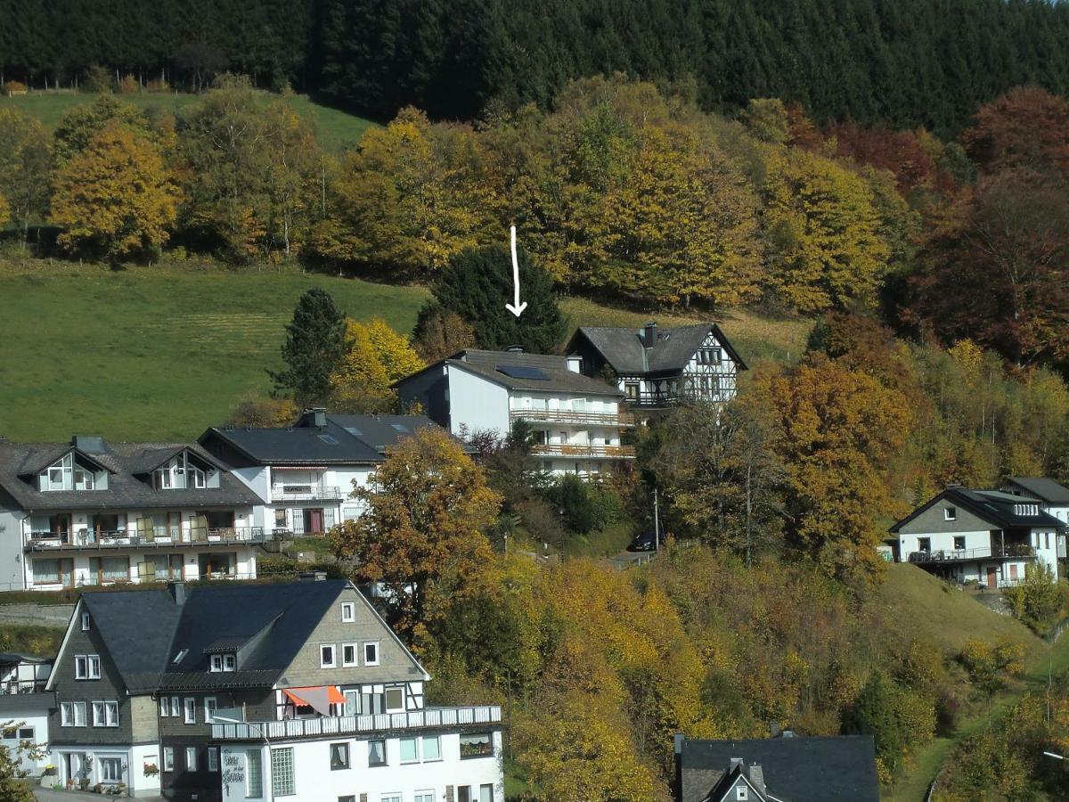 Appartementen Edel Schmallenberg Kültér fotó